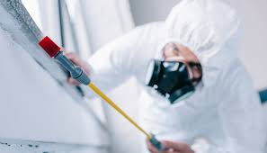 Best Commercial Pest Control  in Sebring, OH